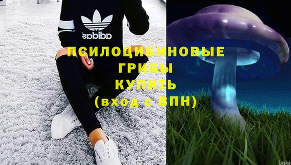 спайс Пересвет