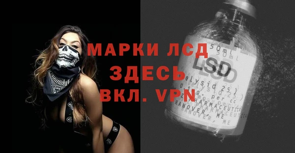 спайс Пересвет