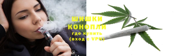спайс Пересвет
