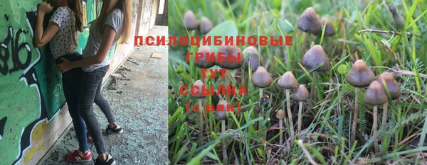 марки nbome Пестово