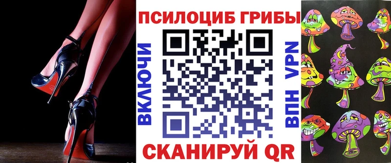 Галлюциногенные грибы прущие грибы  дарк нет официальный сайт  Шенкурск 